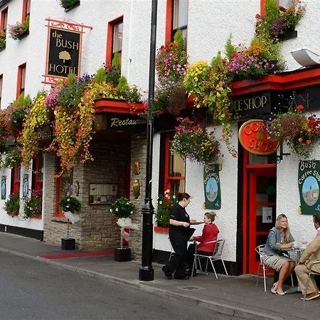 Bush فندق