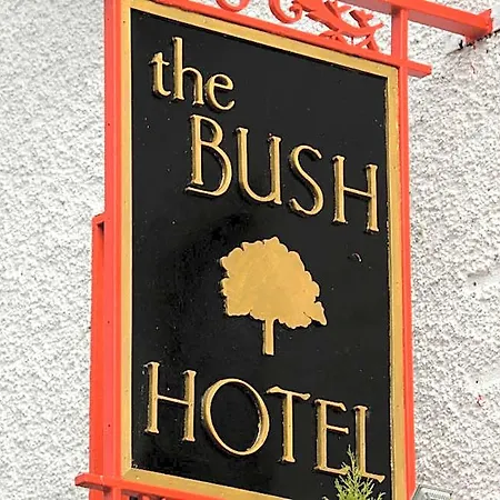 Bush 3*