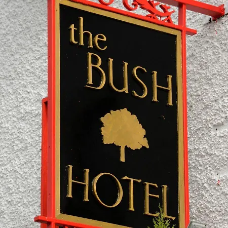 Bush