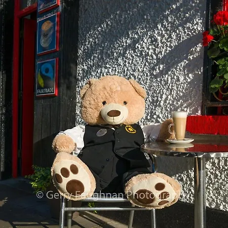 Bush فندق County Leitrim